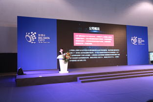 北京飛搜科技閃耀亮相2018年貴州數(shù)博會(huì)，引領(lǐng)信息技術(shù)咨詢服務(wù)新浪潮